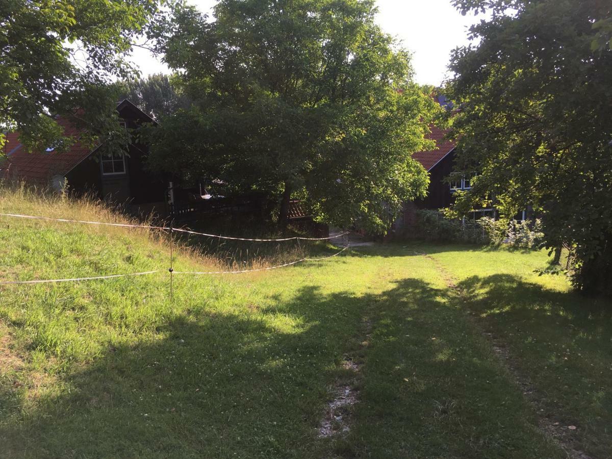 Hoeve Schoonzicht Wijlre Exteriér fotografie